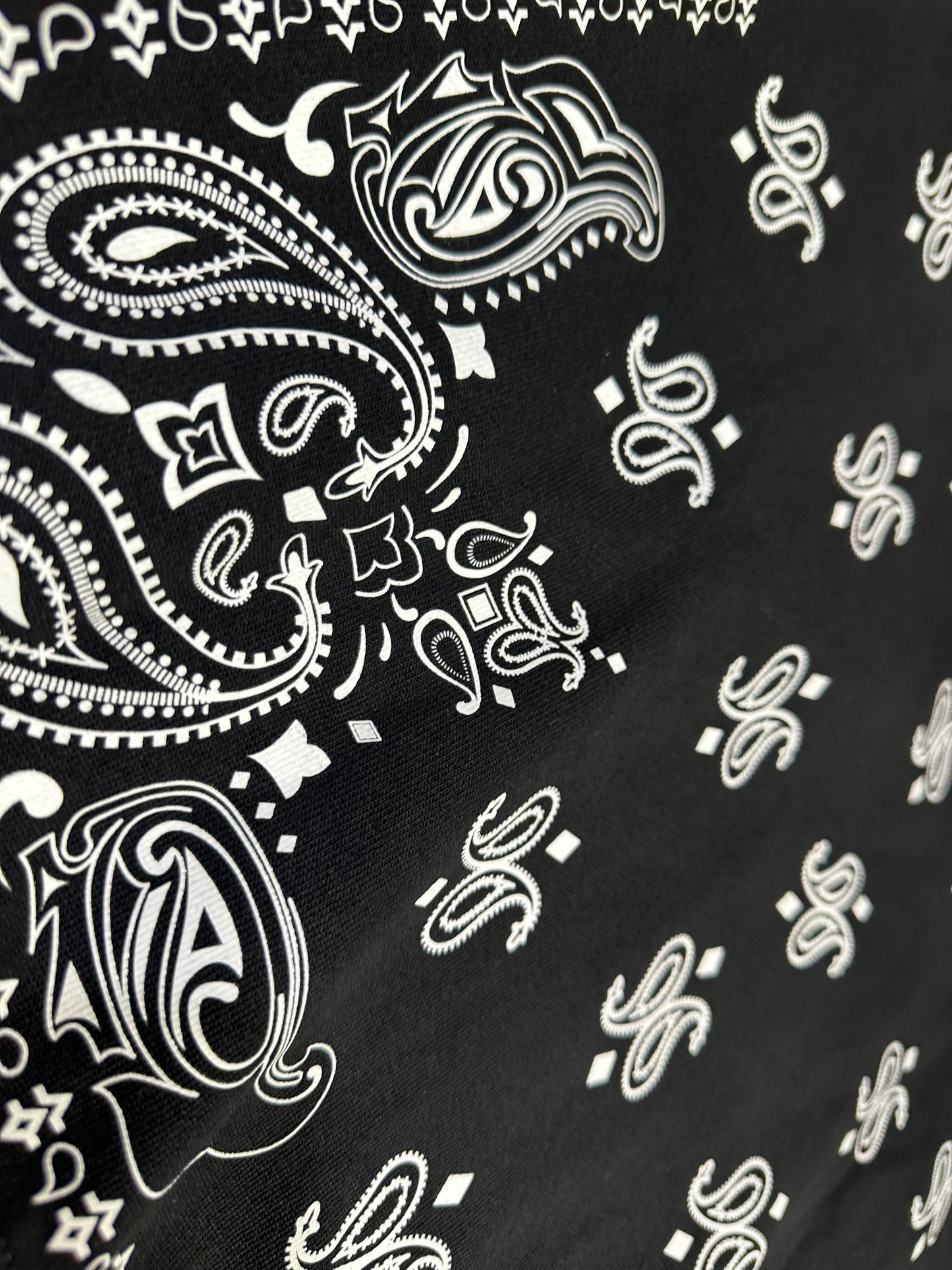 CULT OF INDIVIDUALIY PULLOVER SWEATSHIRT (624A1-PH21A) PAISLEY