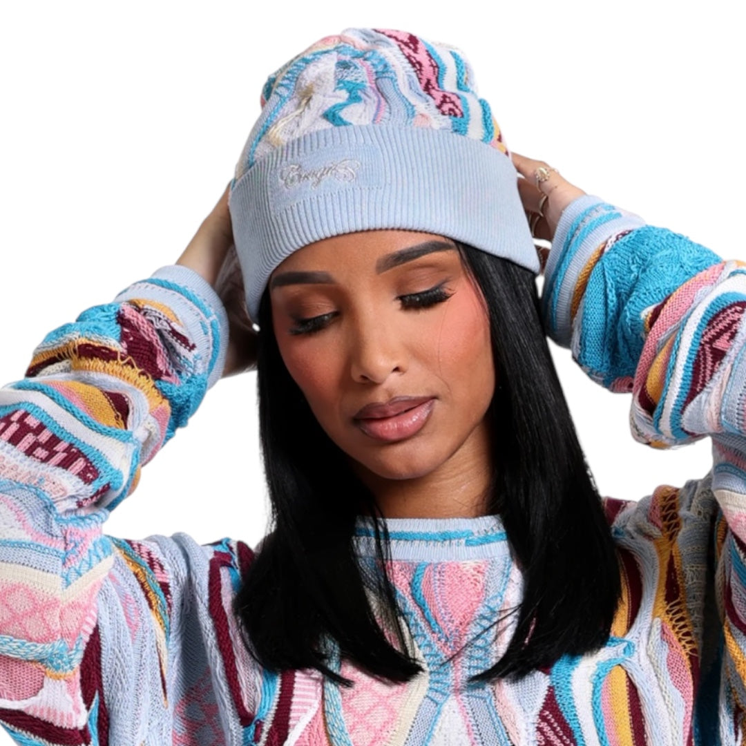 C95501 COOGI SKULLY