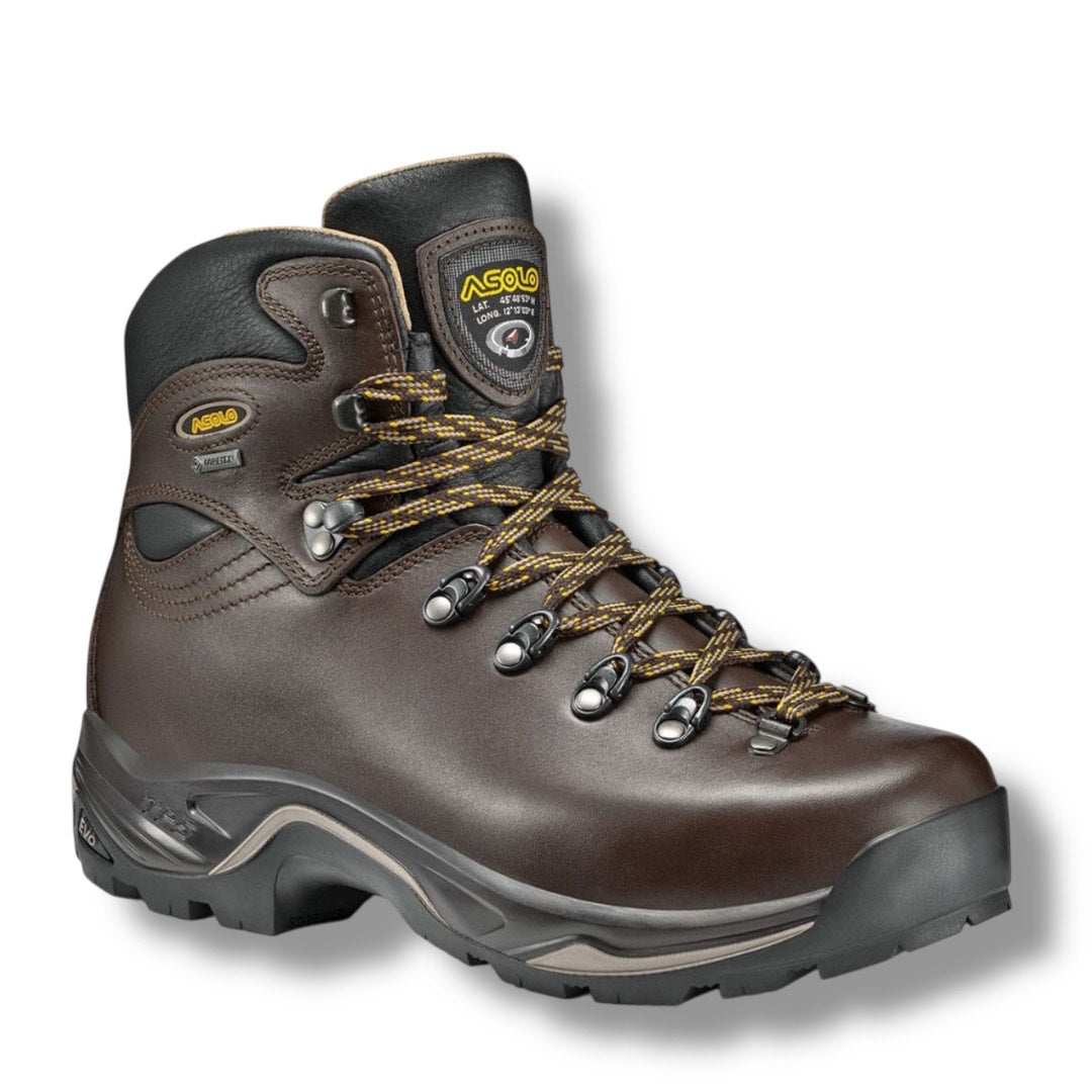 ASOLO TPS 520 GV EVO CHESTNUT B11012