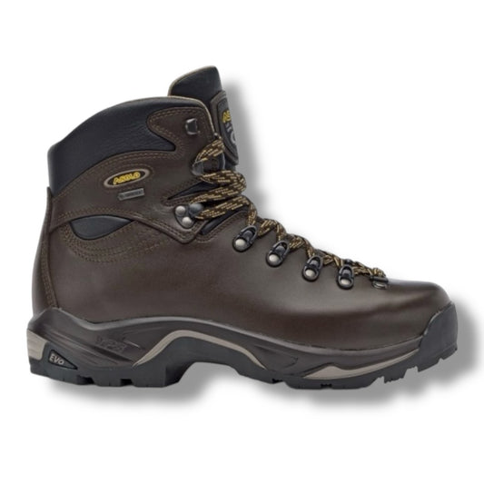 ASOLO TPS 520 GV EVO CHESTNUT B11012