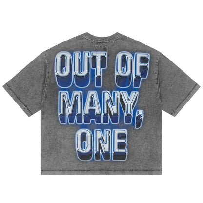 Ballers Clothing Shop grey wash cotton t-shirt with blue Out of Many One graphic print on the back